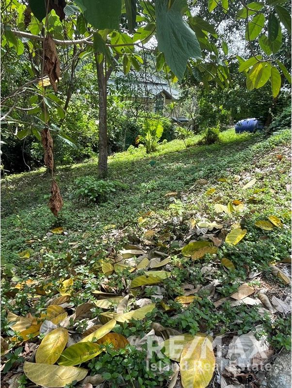  Image 9