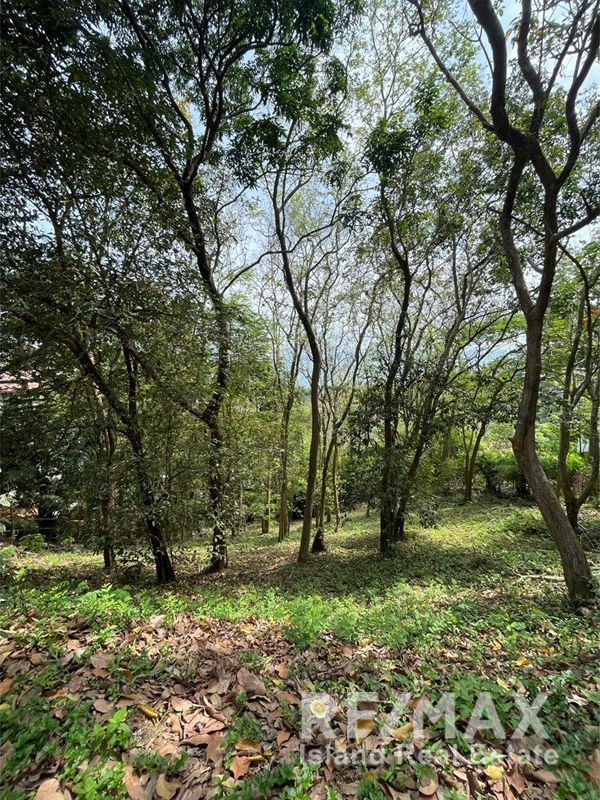  Image 4