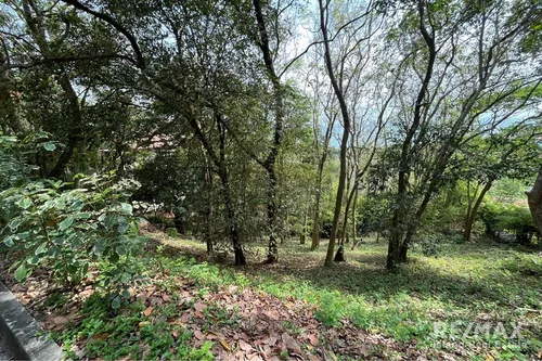 prime-sea-view-land-for-sale-or-bang-por-koh-samui-kt083-94