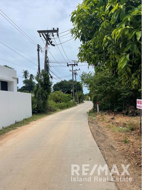  Image 6