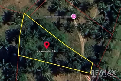 prime-freehold-land-962-sqm-or-maenam-or-38m-thb-dk086-13