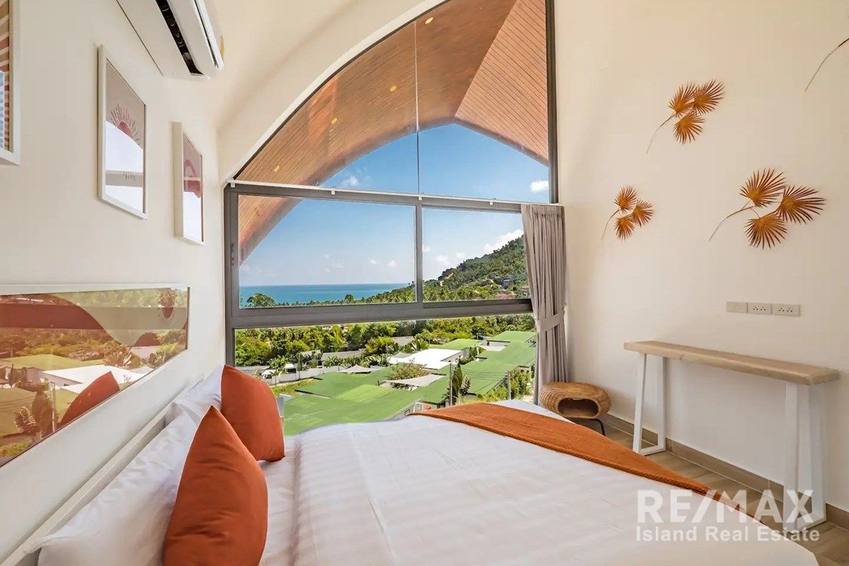  Image 6