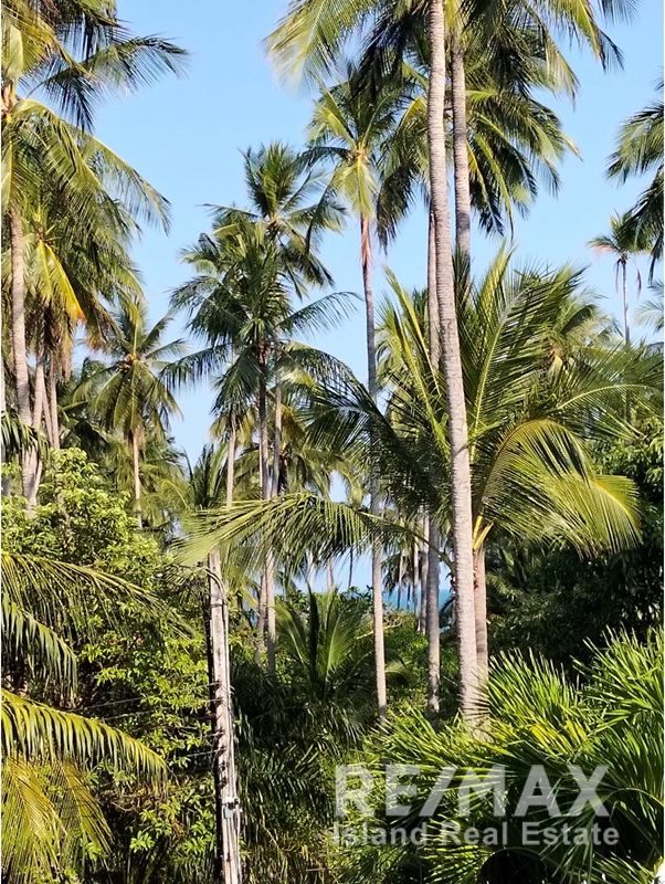  Image 14