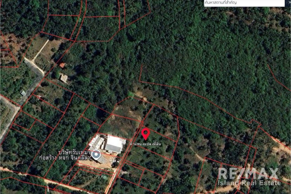  Image 4