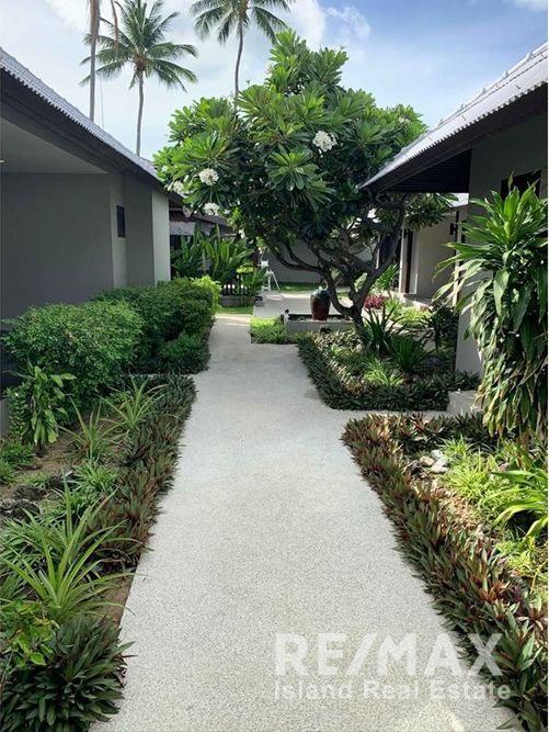  Image 36
