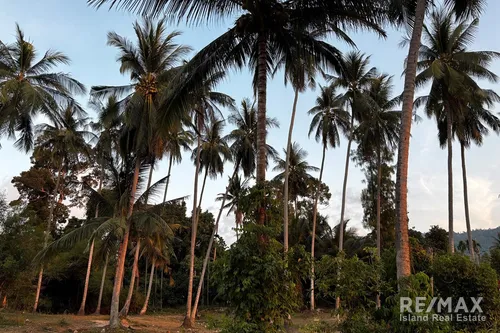perfect-land-for-developer-leasehold-hunting-mh088-33