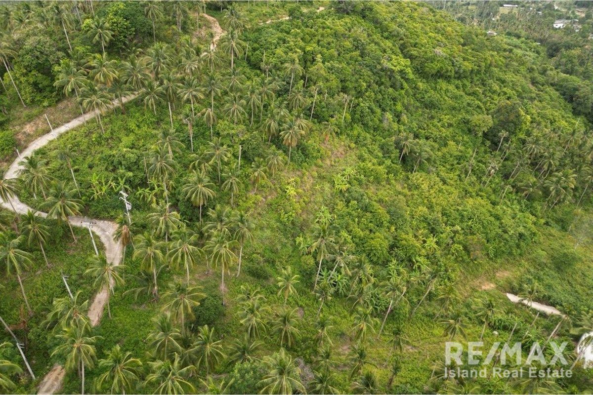  Image 10