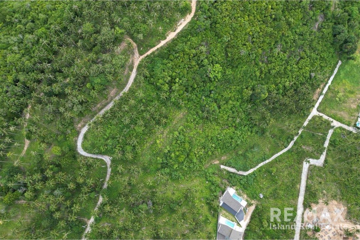  Image 6