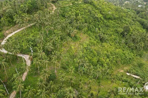 jungle-and-partial-seaview-land-for-sale-in-bophut-koh-samui-plot-4-mh088-44