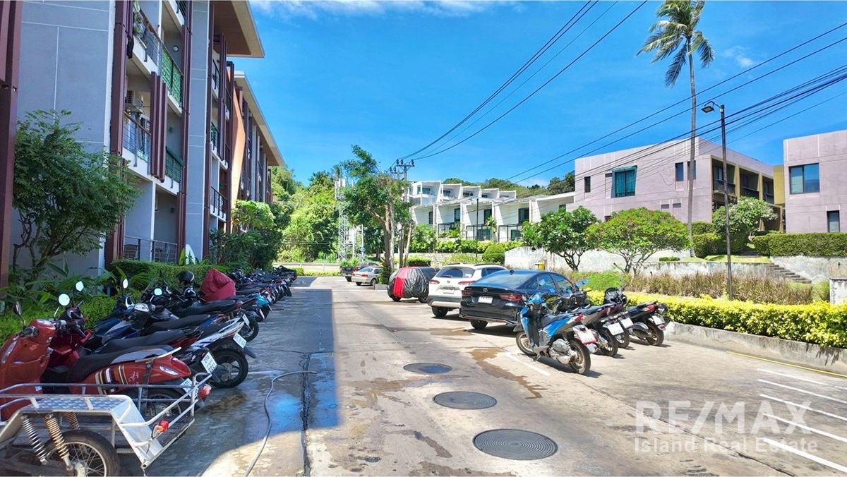  Image 15