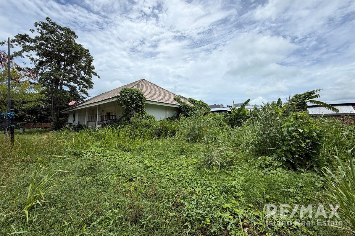  Image 8