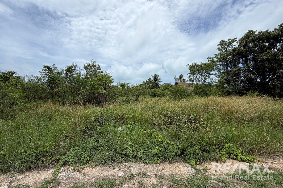  Image 6