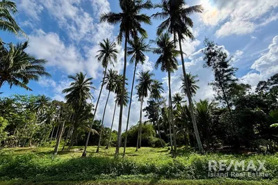 land-plot-next-to-natural-canal-for-rentmaenam-soi-4koh-samui-mh088-6