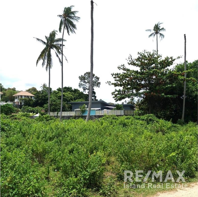  Image 10