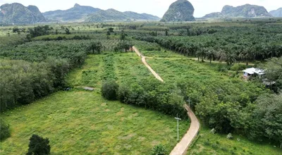 beautiful-land-for-sale-in-nhong-thale-krabi-920281012-41