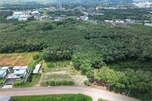 prime-land-for-sale-in-krabi-town-krabi-ideal-for-development-920281012-42