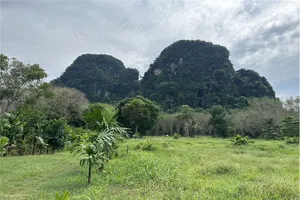 mountain-view-land-for-sale-in-krabi-2-rai-2-1-ngan-06-sqw-18million-bahtrai-920281012-46