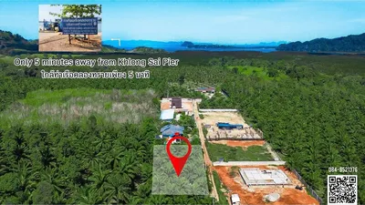 urgent-sale-prime-palm-garden-land-in-khao-klom-perfect-opportunity-920281012-96