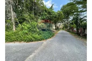 stunning-mountain-view-land-for-sale-in-krabi-1-rai-77-tarang-wah-920281015-23