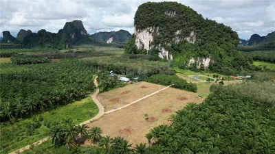 prime-land-opportunity-stunning-plot-for-sale-in-nhong-thale-krabi-920281015-663