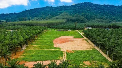 prime-land-opportunity-for-development-920281015-702