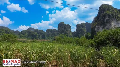 prime-land-for-sale-in-aonang-krabi-your-dream-property-awaits-920281015-709