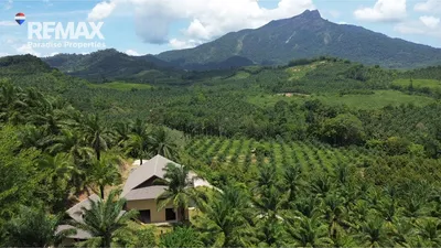 urgent-sale-detached-house-with-50percent-price-reduction-920281022-6