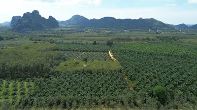 prime-land-for-sale-in-desirable-location-920281025-6