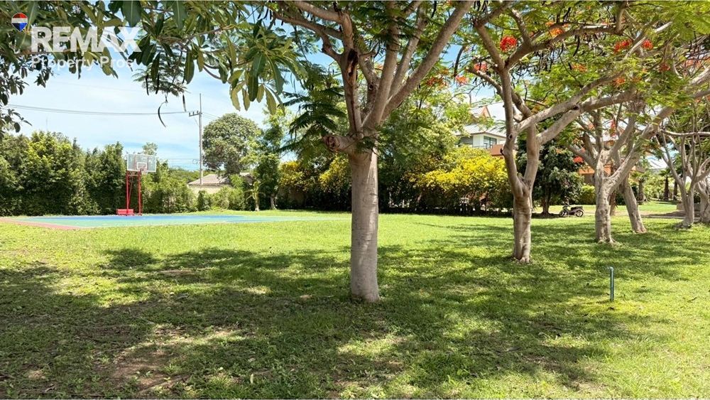  Image 60