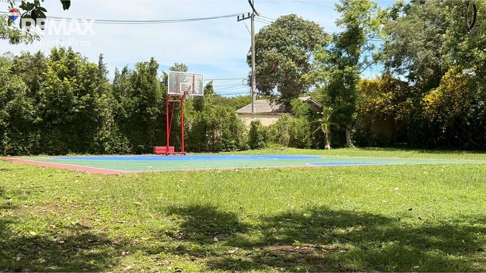  Image 61