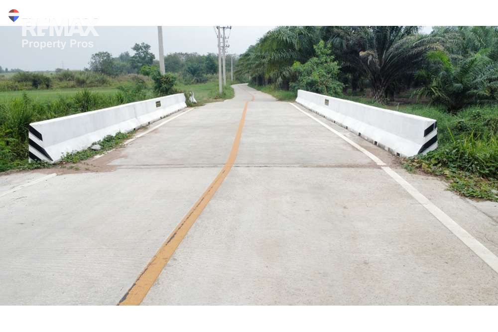  Image 15