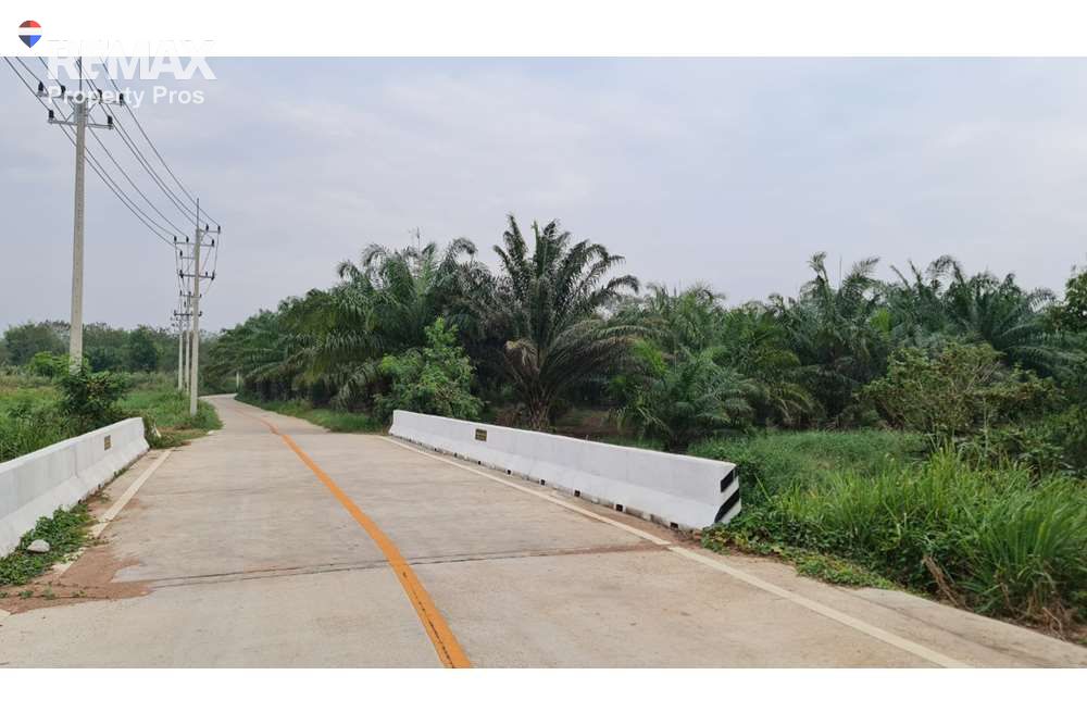  Image 6