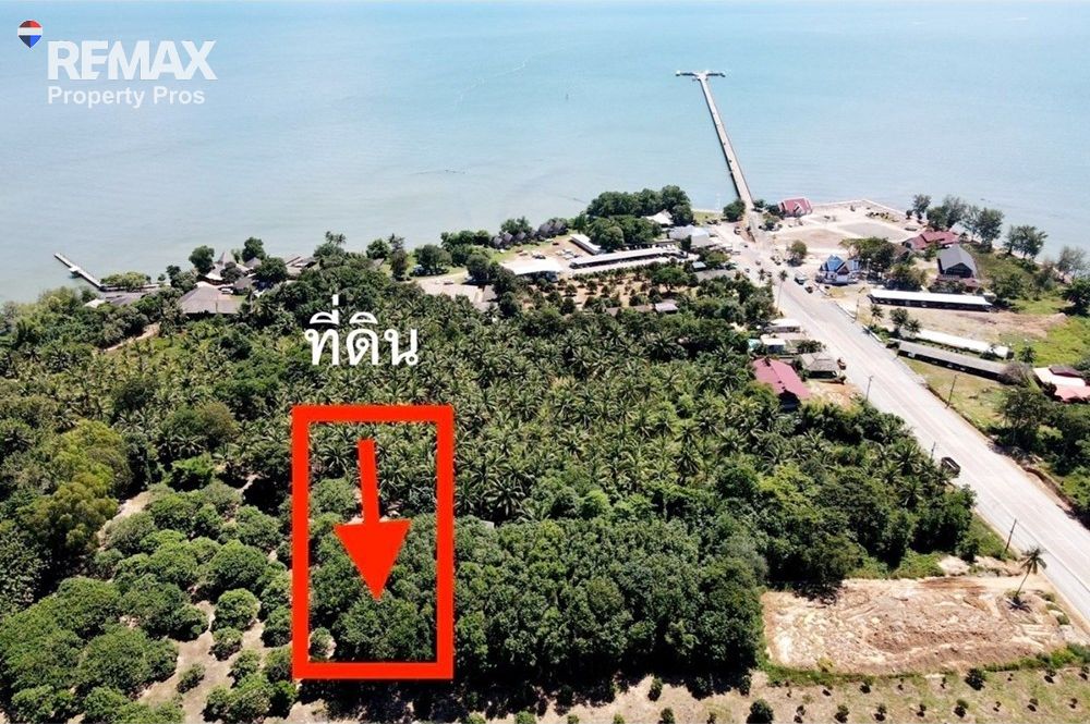  Image 5