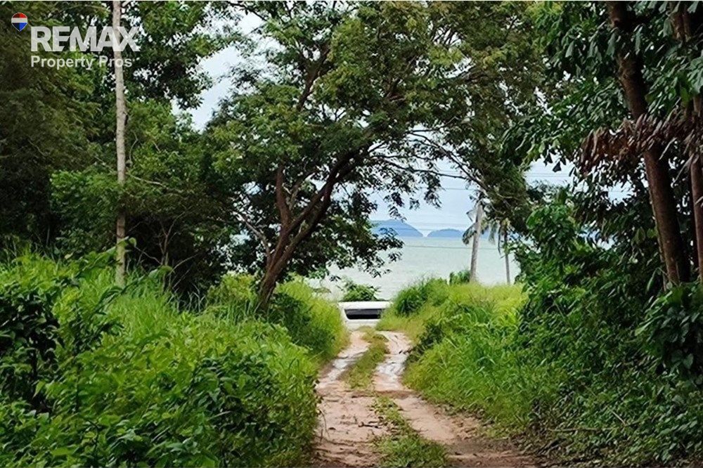  Image 8