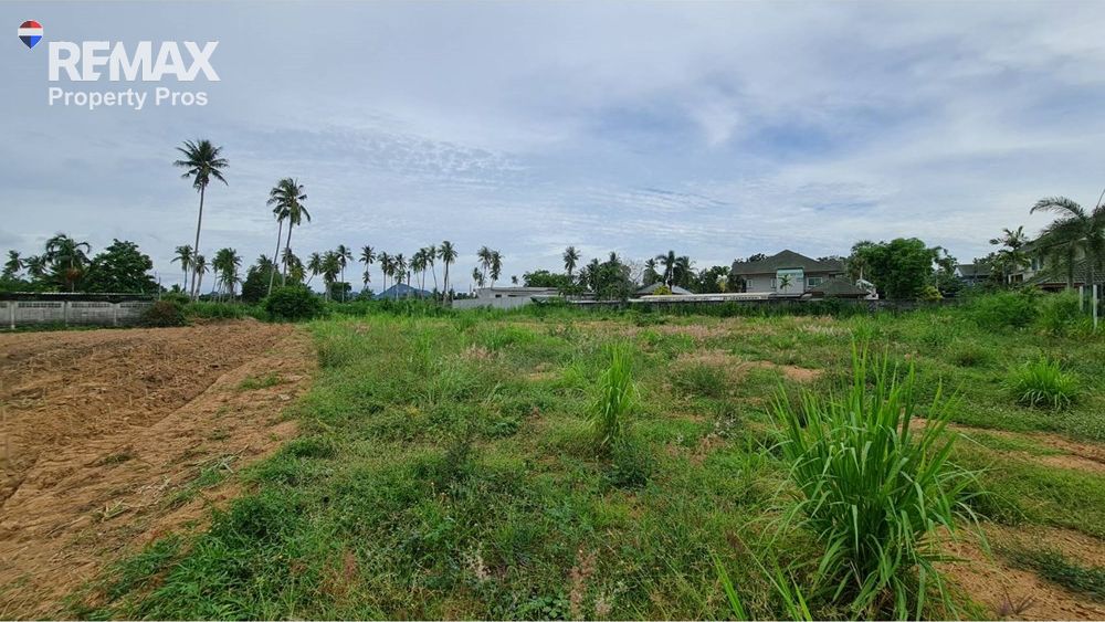  Image 6
