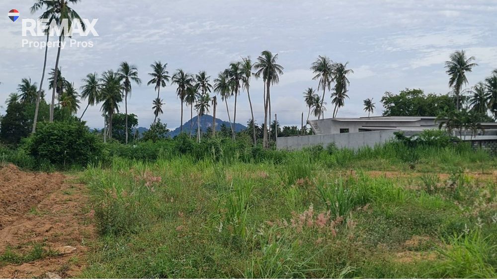  Image 6