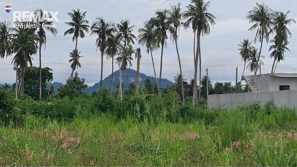  Image 7