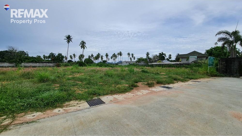  Image 8