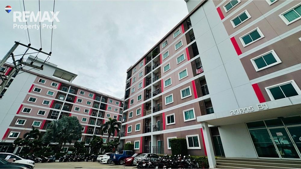  Image 5