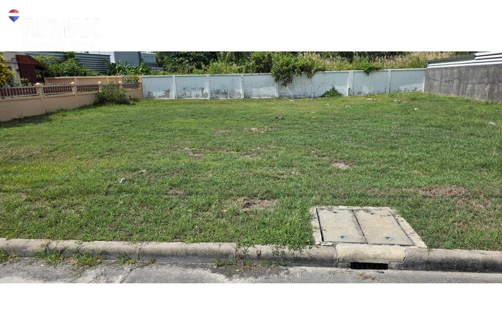  Image 19