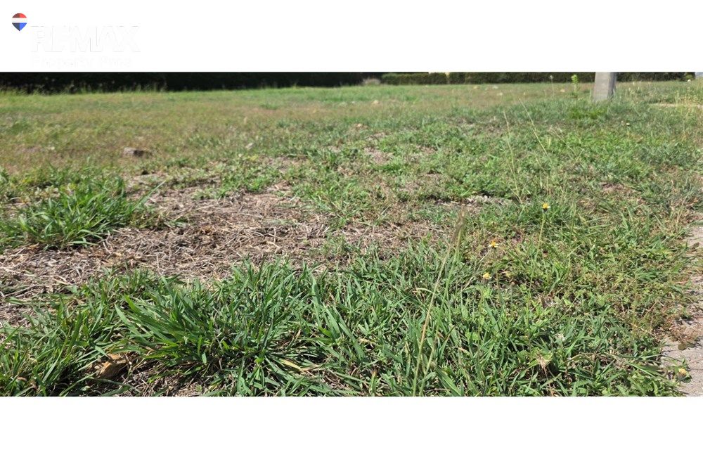  Image 21