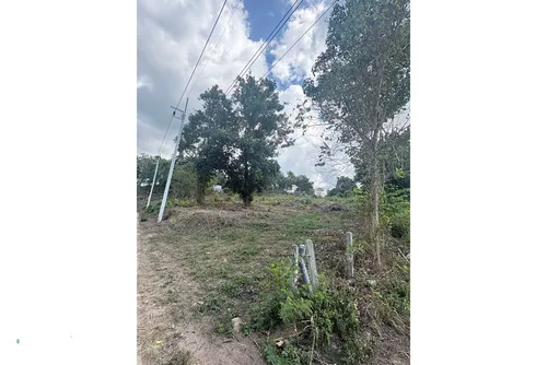 flat-land-for-30-year-lease-welistai-928