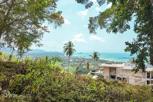 prime-sunset-sea-view-hillside-land-129920-sqm-angthong-welistai-942