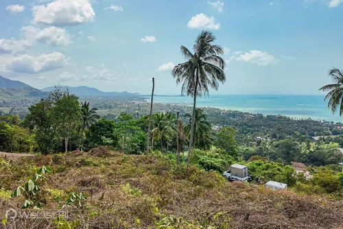 large-elevated-sunset-sea-view-land-2276-sqm-angthong-welistai-945