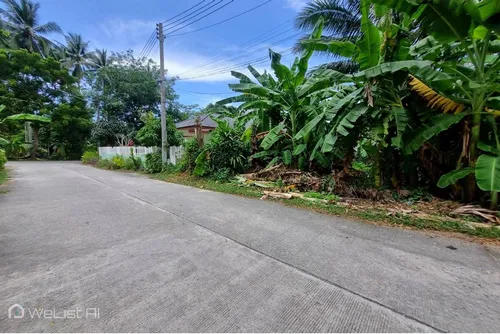 land-with-fruits-farm-at-taling-ngam-for-sale-koh-samui-welistai-969