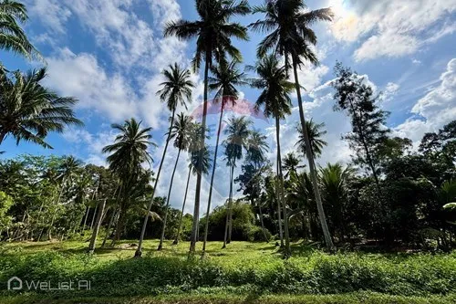land-for-rent-wl-test-973