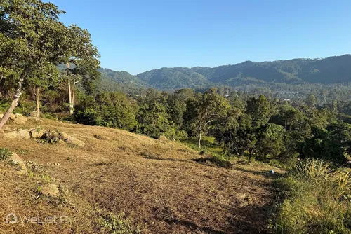 land-for-sale-lamai-hill-koh-samui-or-sea-and-mountain-views-welistai-976