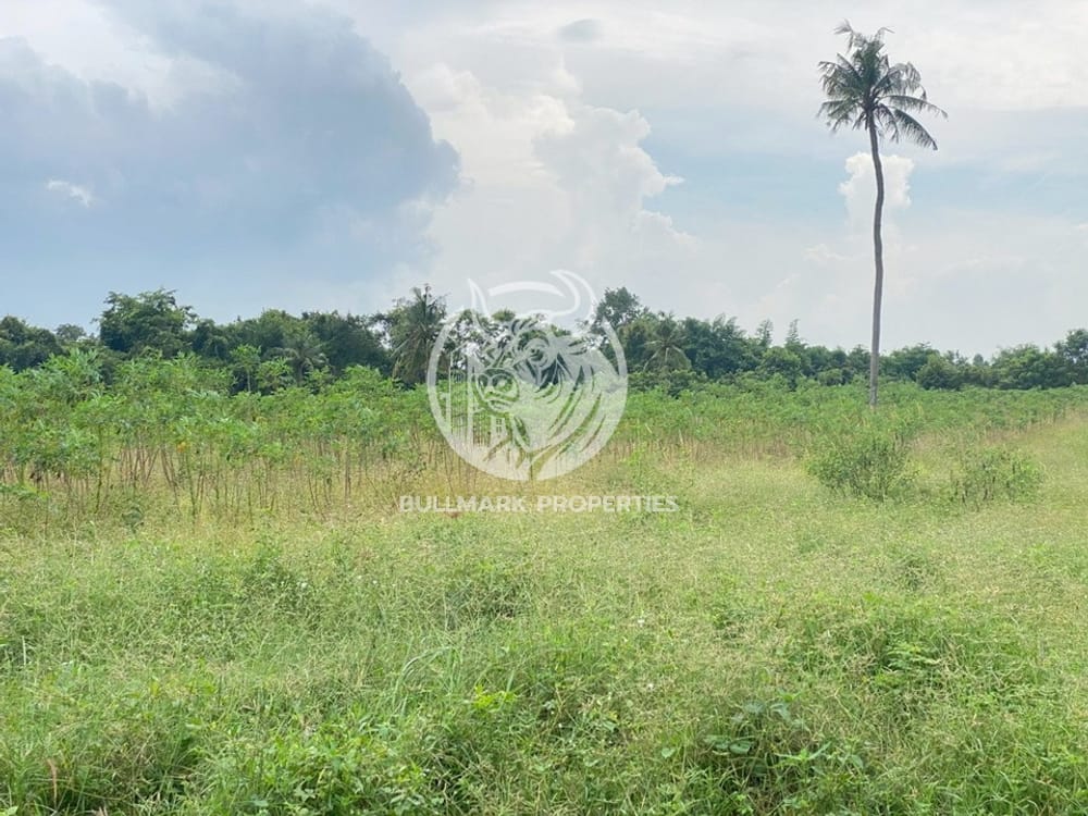 prime-land-for-sale-3500000-bath-per-rai-in-east-pattaya-ideal-for-your-dream-project-bml1551