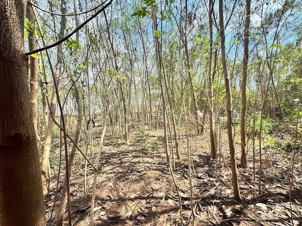 ขาย ที่ดิน ใน พัทยาตะวันออก, พัทยา 3