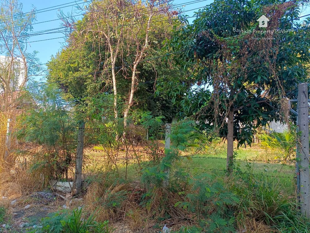 芭提雅帕山区896平米土地出售 6